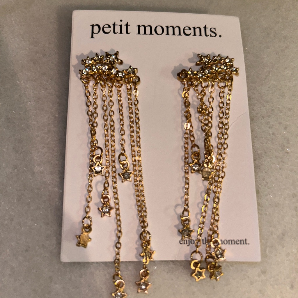 Petit Moments Dangly Earrings 20$